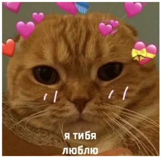 🥰 emoji @Madinka_m стики часть 2 Telegram sticker 2 of 73