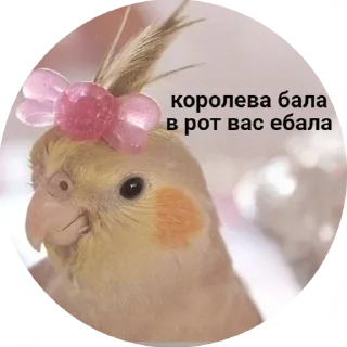 😌 emoji @Madinka_m стики часть 2 Telegram sticker 16 of 73