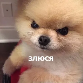😡 emoji @Madinka_m стики часть 2 Telegram sticker 18 of 73