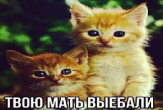 Sticker from секс мужчина мужчина