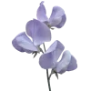 🤩 emoji 🍆🍆 грɑцuꪮзный 𑄜т @stwqiit Telegram sticker 18 of 36