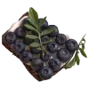 🤩 emoji 🍆🍆 грɑцuꪮзный 𑄜т @stwqiit Telegram sticker 3 of 36