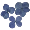 🤩 emoji 🍆🍆 грɑцuꪮзный 𑄜т @stwqiit Telegram sticker 14 of 36