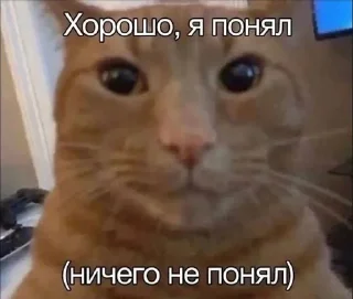 🌟 emoji Отдел по борьбе с кацапами pack by @QuotLyBot Telegram sticker 2 of 120