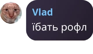 🌂 emoji Отдел по борьбе с кацапами pack by @QuotLyBot Telegram sticker 5 of 120