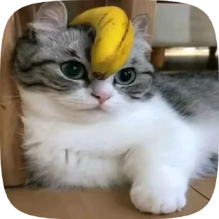 Sticker from Бананчики