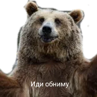 Sticker from Медведи
