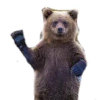 Sticker from Медведи