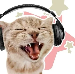 🎧 emoji Котики на все случаи жизни Telegram sticker 3 of 77