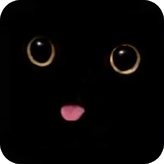 😛 emoji Котики на все случаи жизни Telegram sticker 12 of 77