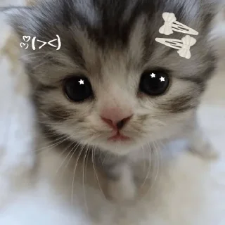 🥺 emoji Больше стиков тут: @stikery4 Telegram sticker 15 of 85