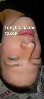 🙈 emoji Ебануться можно ➡️ @Ctikerubot Telegram sticker 2 of 55