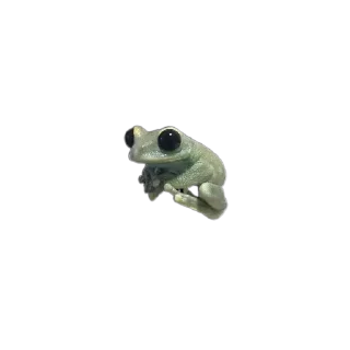 🐸 emoji Green World Telegram sticker 5 of 65