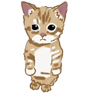 😀 emoji Chipi chapa Telegram sticker 10 of 10