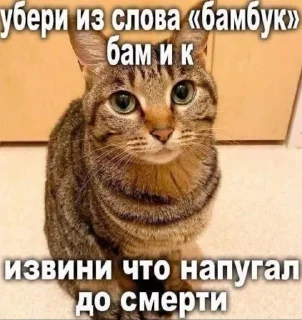 😔 emoji создал щовель @Wertystann Telegram sticker 1 of 19