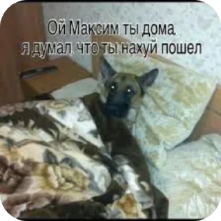 Sticker from Щовель