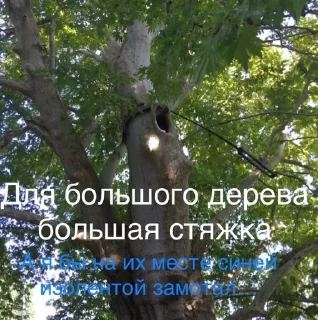 🎓 emoji Мемесы Telegram sticker 15 of 120