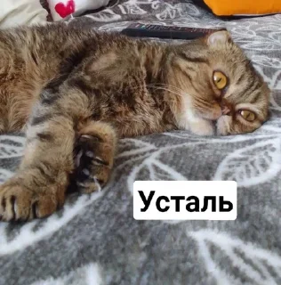 😔 emoji Mira andnyusha Telegram sticker 16 of 30