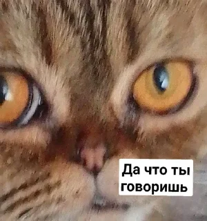 😒 emoji Mira andnyusha Telegram sticker 12 of 30
