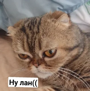 😢 emoji Mira andnyusha Telegram sticker 4 of 30