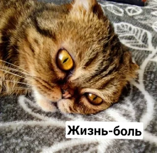 😢 emoji Mira andnyusha Telegram sticker 13 of 30