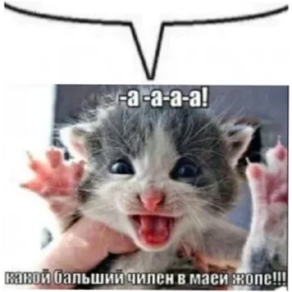 💬 emoji Анальные стикеры Telegram sticker 22 of 96