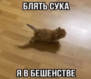 Sticker from лееее @TgEmodziBot