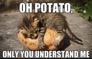 🥔 emoji Анальные стикеры Telegram sticker 17 of 96