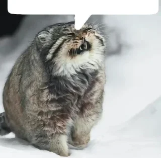 💬 emoji Анальные стикеры Telegram sticker 8 of 96