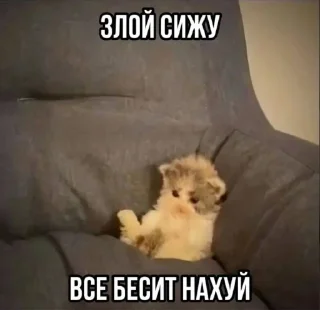 Sticker from лееее @TgEmodziBot