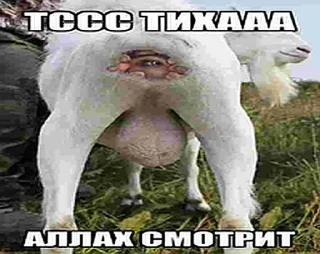 🤫 emoji Анальные стикеры Telegram sticker 18 of 96