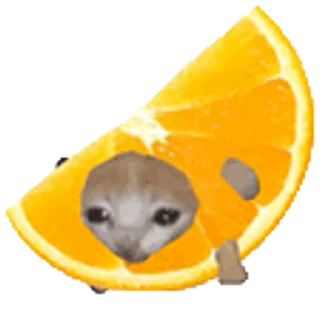 Sticker from 🫐больше тут➡️ @emojipipka
