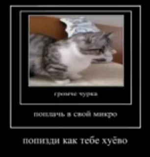 😒 emoji куны сила ➡️ @Ctikerubot Telegram sticker 16 of 55