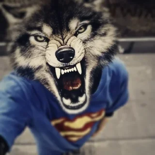 😈 emoji Крутіє фоткі Telegram sticker 16 of 21