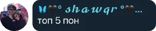 Shawqr family sticker 4