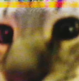 Sticker from низкокамерный