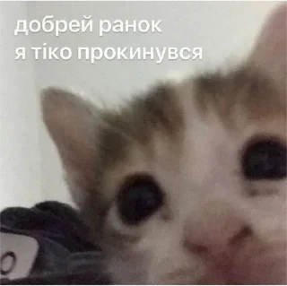 😑 emoji ника by @sticat_app Telegram sticker 21 of 34