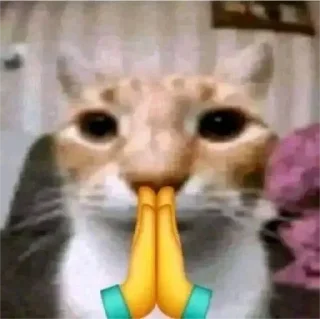 🙏 emoji ника by @sticat_app Telegram sticker 15 of 34