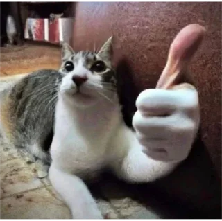 👍 emoji ника by @sticat_app Telegram sticker 17 of 34