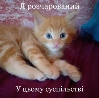 😕 emoji ника by @sticat_app Telegram sticker 22 of 34