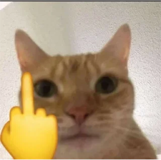 🖕 emoji ника by @sticat_app Telegram sticker 16 of 34