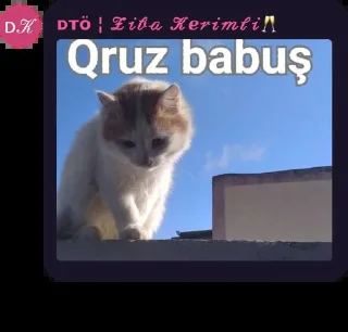🤔 emoji @Krml1 @DTOUserBot Paketi 1 Telegram sticker 16 of 120