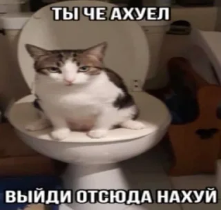 🤬 emoji котональное вторжение члена 2 Telegram sticker 1 of 51