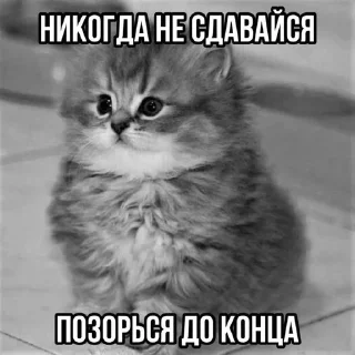 👍 emoji котональное вторжение члена 2 Telegram sticker 6 of 51