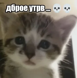 ☠ emoji котональное вторжение члена 2 Telegram sticker 10 of 51