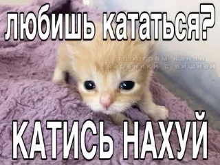 🤬 emoji котональное вторжение члена 2 Telegram sticker 5 of 51