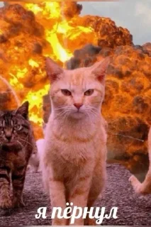 😎 emoji котональное вторжение члена 2 Telegram sticker 15 of 51