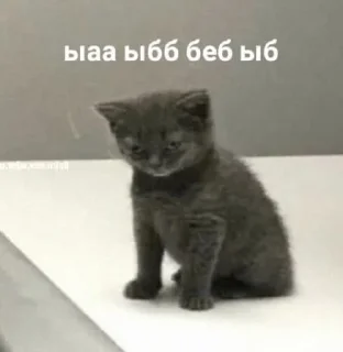 😭 emoji котональное вторжение члена 2 Telegram sticker 12 of 51