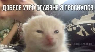 😃 emoji котональное вторжение члена 2 Telegram sticker 24 of 51