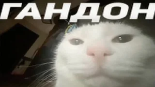 😒 emoji котональное вторжение члена 2 Telegram sticker 22 of 51